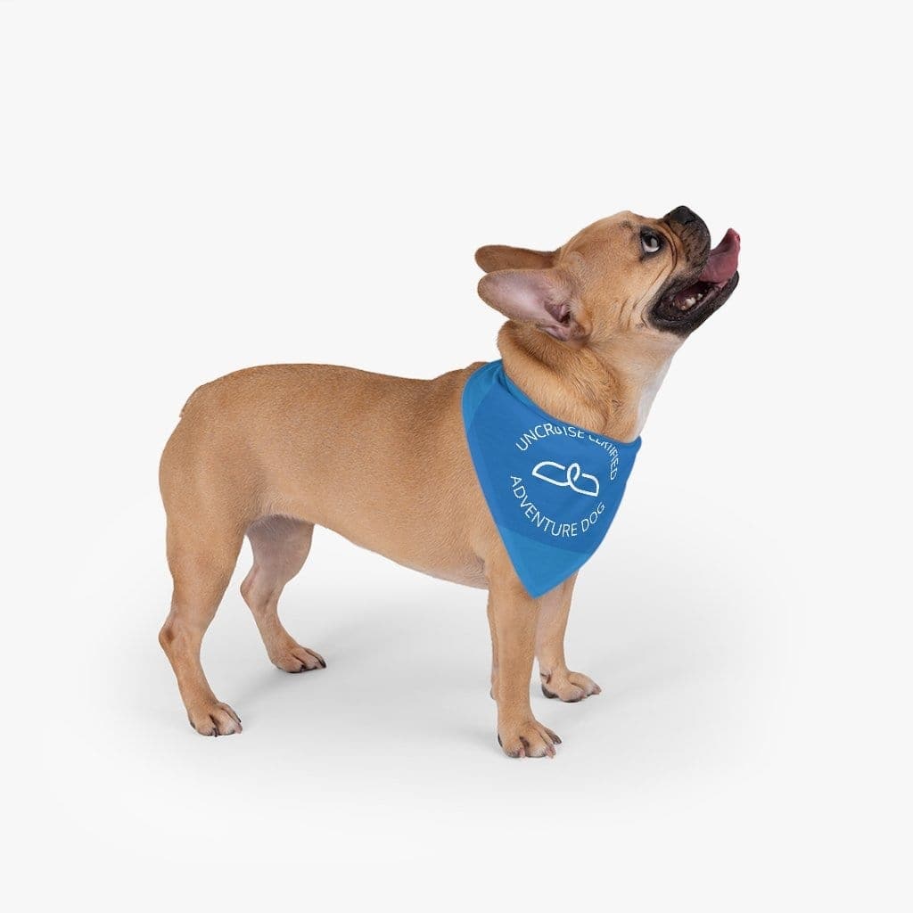 UnCruise Adventures Certified Adventure Dog Bandana - UnCruise Adventures 