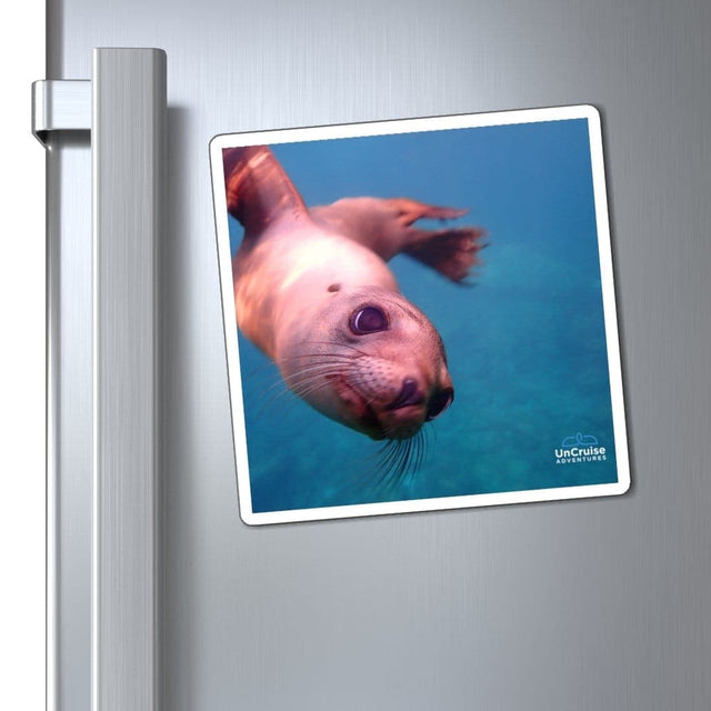 Load image into Gallery viewer, Los Islotes Sea Lion - UnCruise Adventures 
